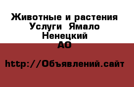 Животные и растения Услуги. Ямало-Ненецкий АО